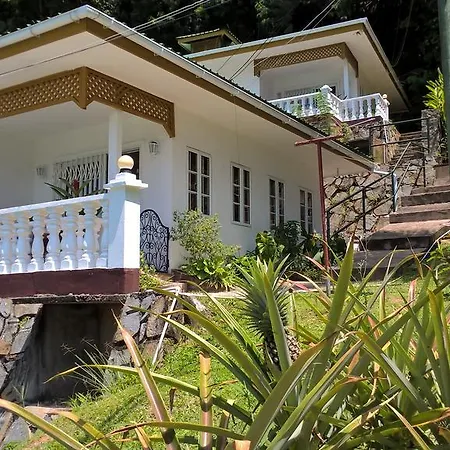 Seychelles Yellow Petals Anse Boileau Exterior photo