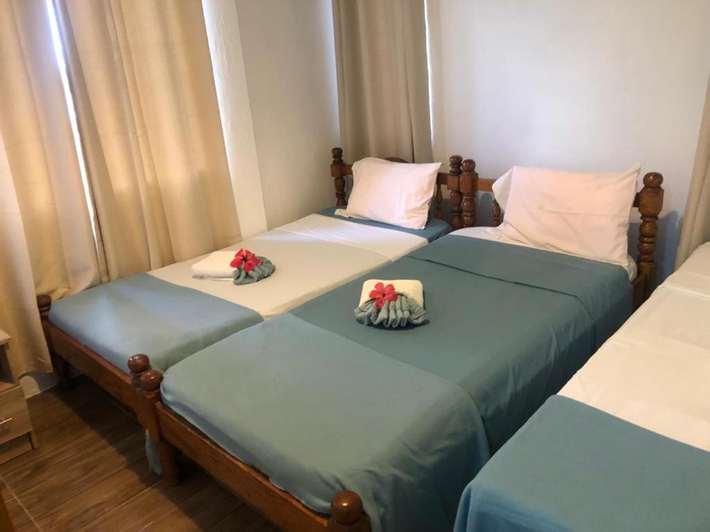 Appartement Seychelles Yellow Petals *