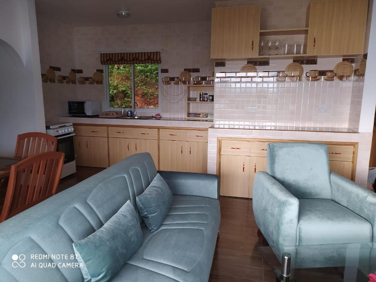Seychelles Yellow Petals Apartment Anse Boileau